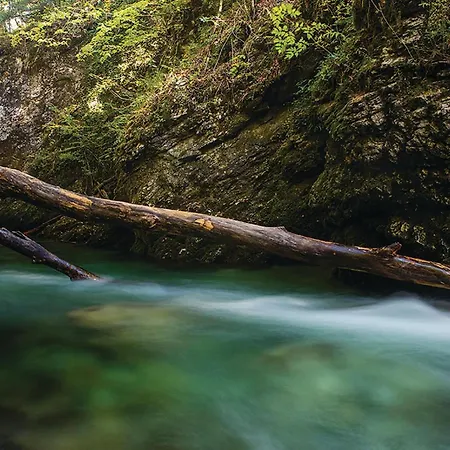 Awesome In With Kitchen Holiday home